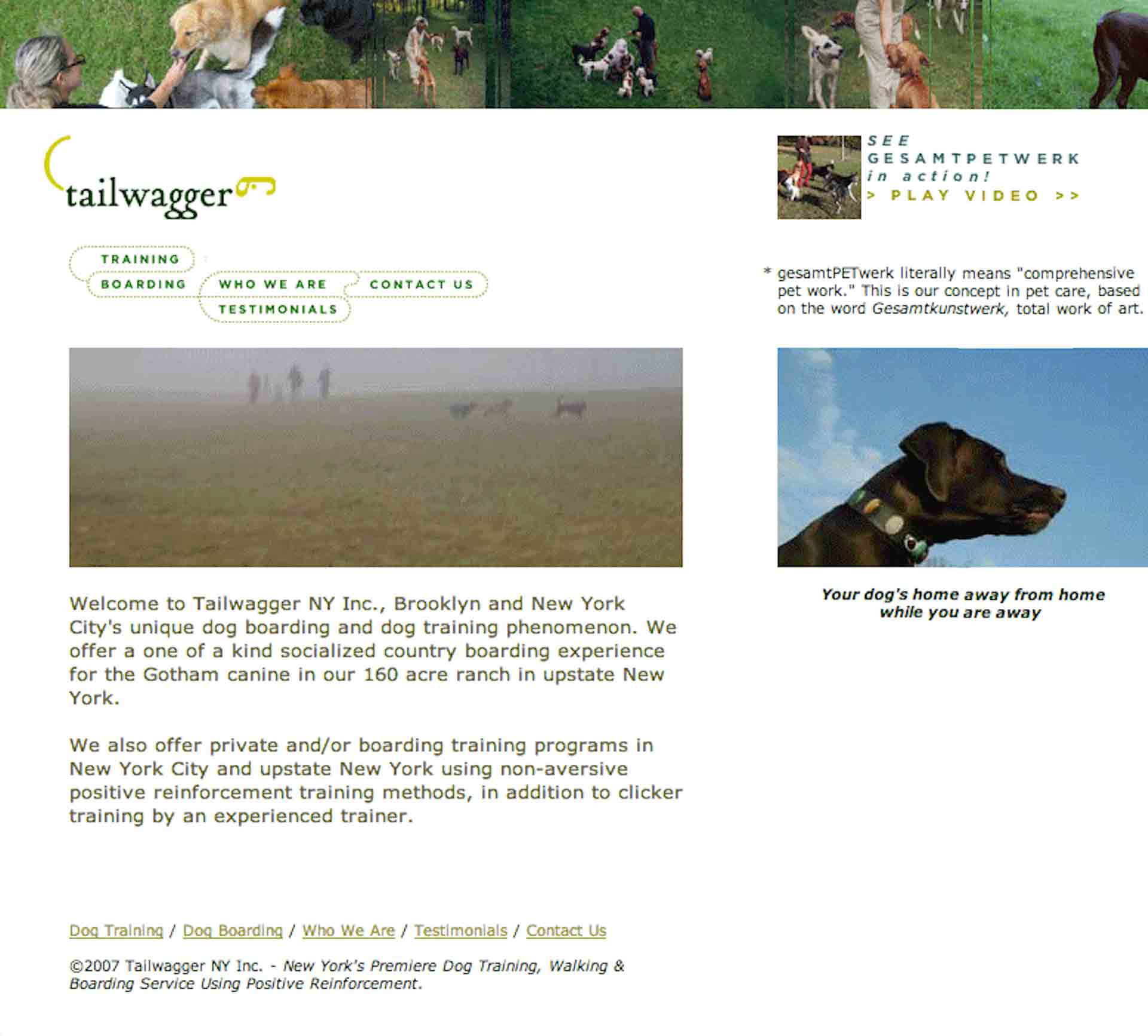 Taillwagger dog care website